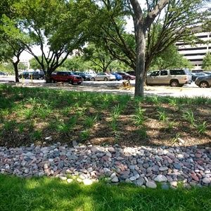 Meet your Posher, Sylvia